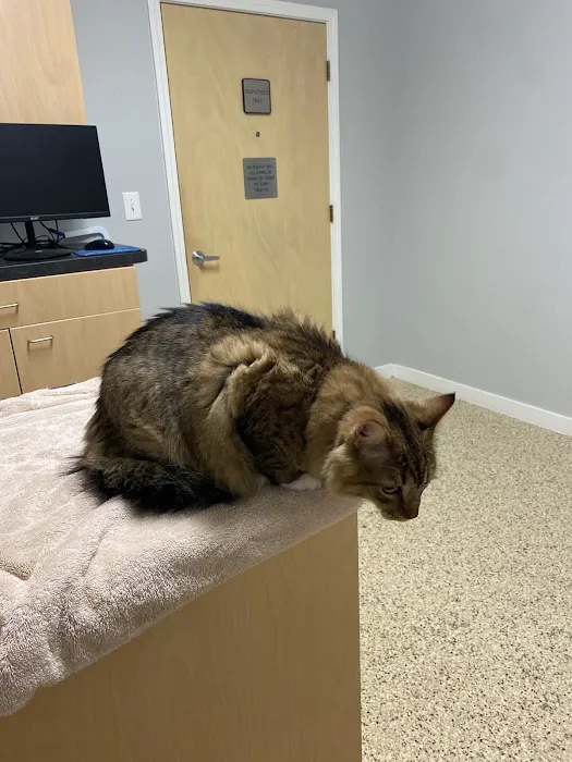 Emergency Pet Hospital of Craven-Carteret Picture 3