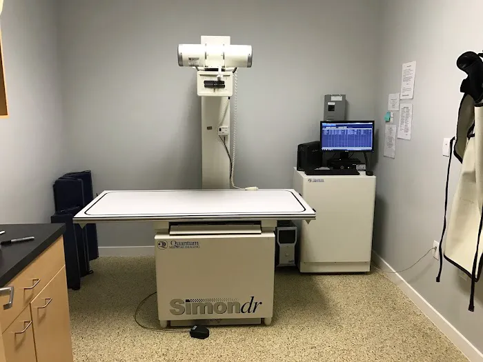 Emergency Pet Hospital of Craven-Carteret Picture 5