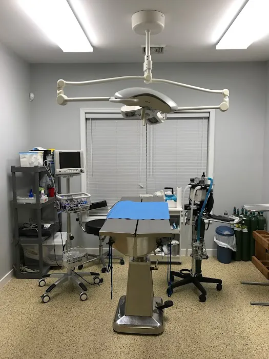 Emergency Pet Hospital of Craven-Carteret Picture 10