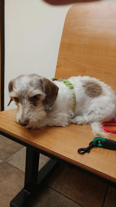 Banfield Pet Hospital Picture 4