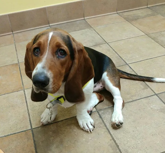 Banfield Pet Hospital Picture 9