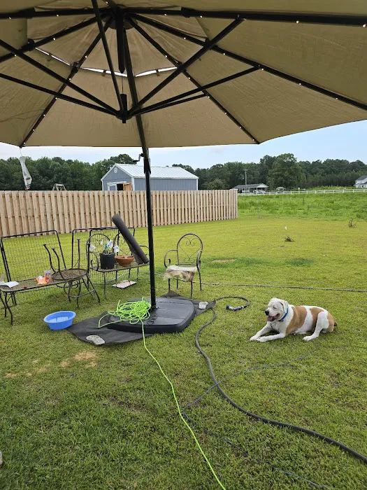 Banfield Pet Hospital Picture 10