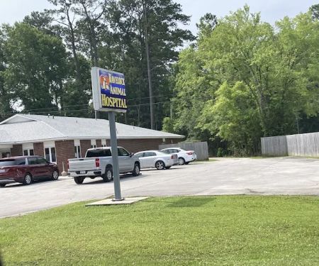 Havelock Animal Hospital: Larry S Paul, DVM