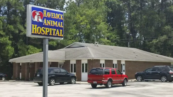 Havelock Animal Hospital Picture 1