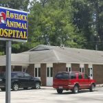 Havelock Animal Hospital
