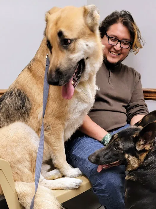 Havelock Animal Hospital Picture 3