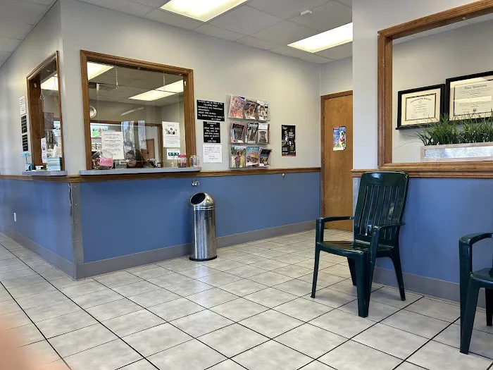 Havelock Animal Hospital Picture 4