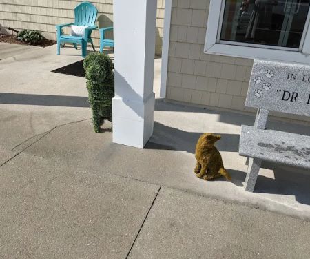 Mitchell Village Animal Hospital