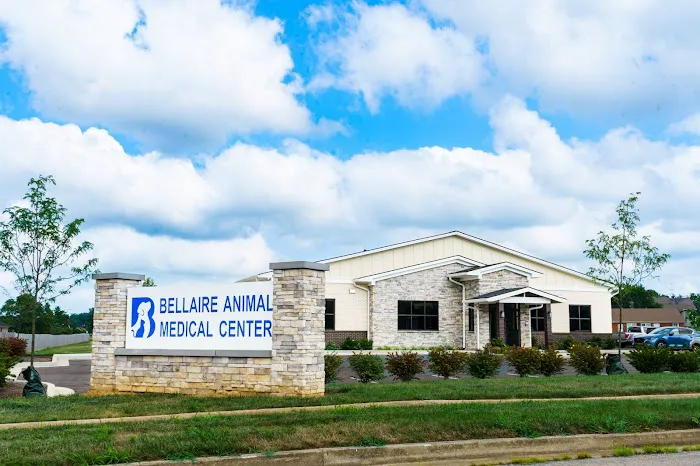 Bellaire Animal Medical Center Picture 3