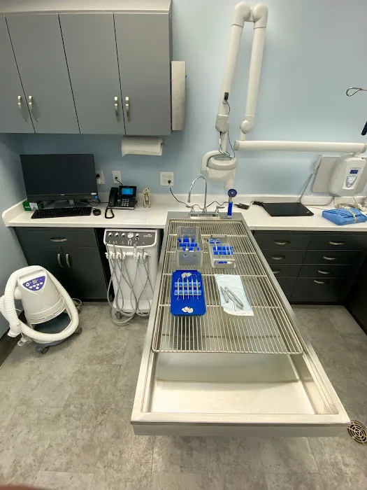 Bellaire Animal Medical Center Picture 9