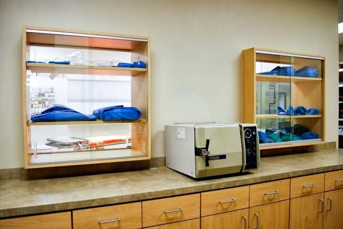 McCaw Veterinary Associates Picture 5
