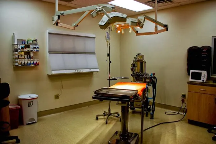McCaw Veterinary Associates Picture 9