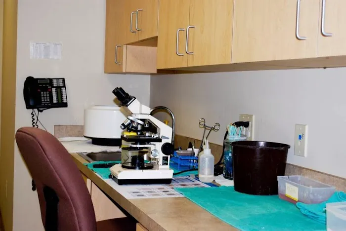 McCaw Veterinary Associates Picture 10
