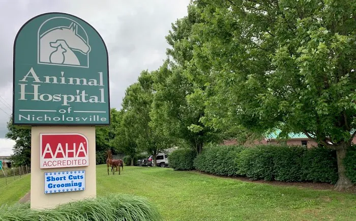 Animal Hospital of Nicholasville Picture 1