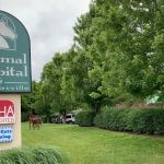 Animal Hospital of Nicholasville