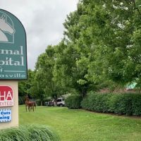Animal Hospital of Nicholasville ico