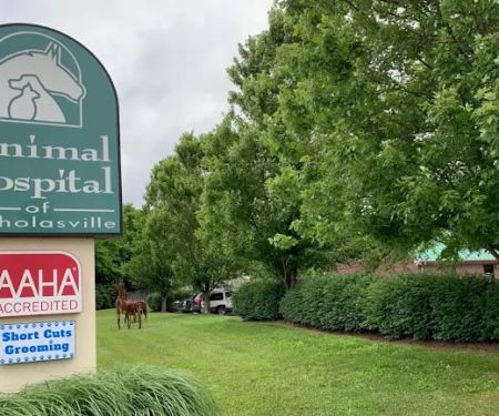 Animal Hospital of Nicholasville