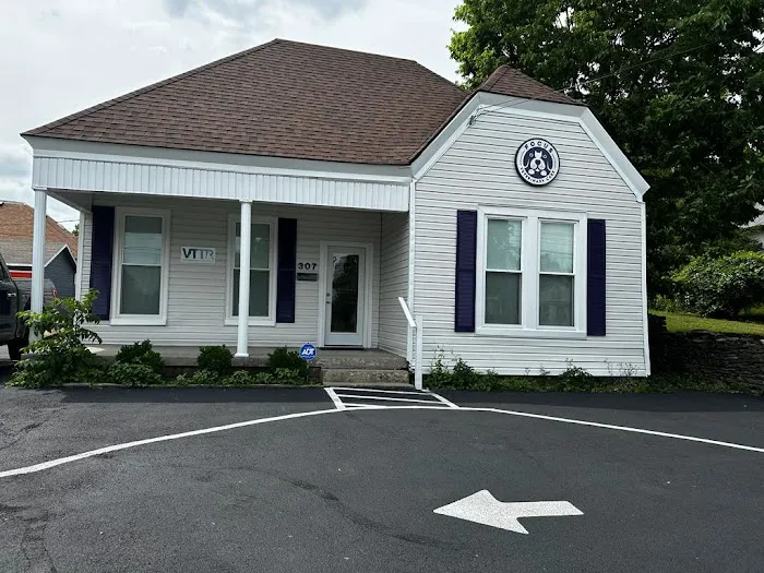 Focus Veterinary Care Picture 3