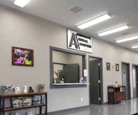 Anderson Animal Hospital
