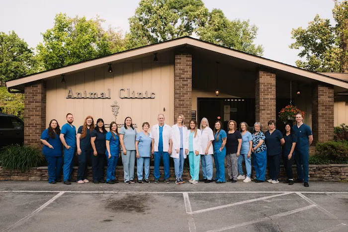 Bell County Animal Clinic Picture 3