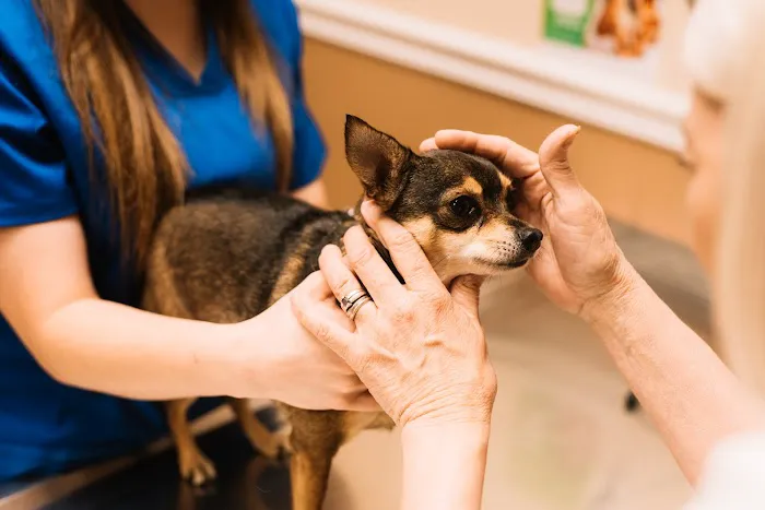 Bell County Animal Clinic Picture 1