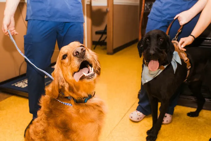 Bell County Animal Clinic Picture 4