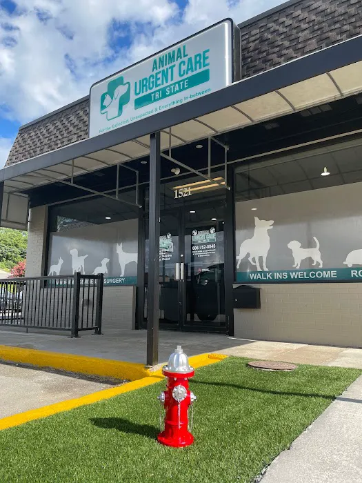 Animal Urgent Care Tri-State Picture 3