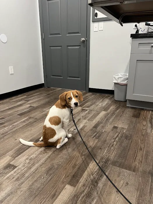 Animal Urgent Care Tri-State Picture 7