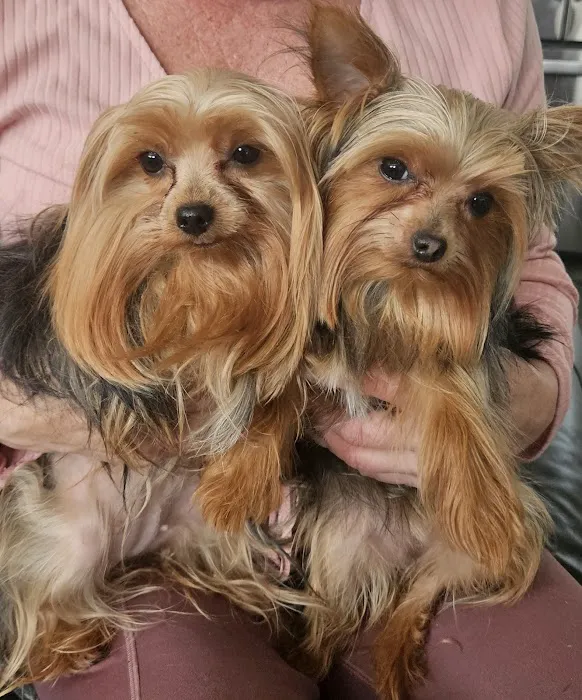 Animal Urgent Care Tri-State Picture 8