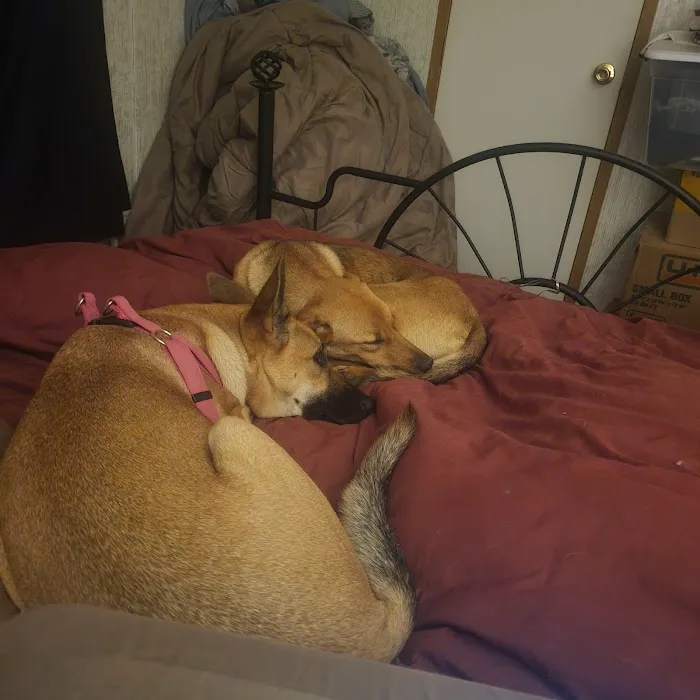 Animal Urgent Care Tri-State Picture 10
