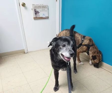 Harrodsburg Animal Hospital