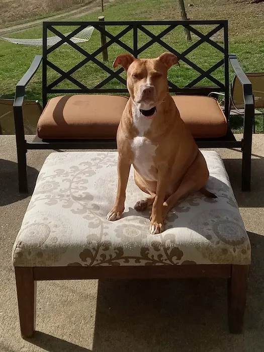 Harrodsburg Animal Hospital Picture 5