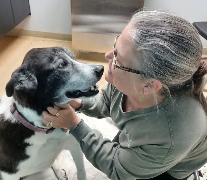 Harrodsburg Animal Hospital Picture 8