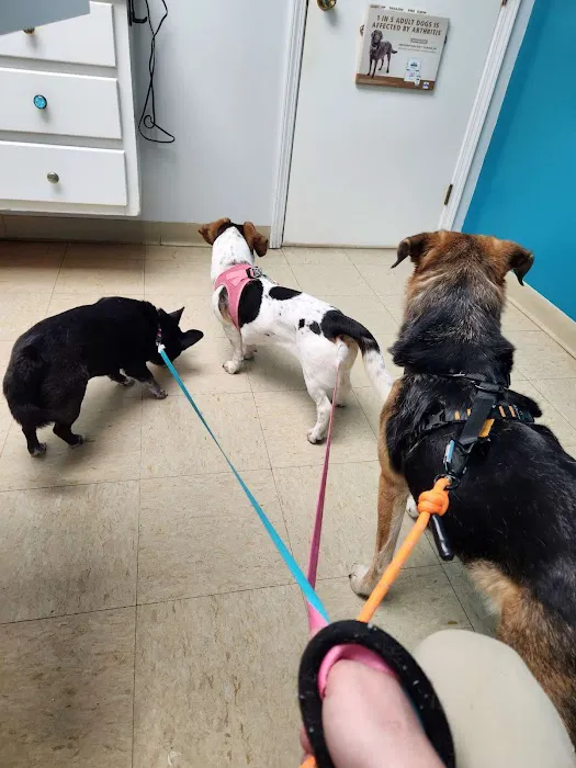 Harrodsburg Animal Hospital Picture 10