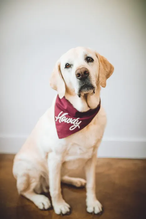 Republic of Texas Veterinary Picture 2