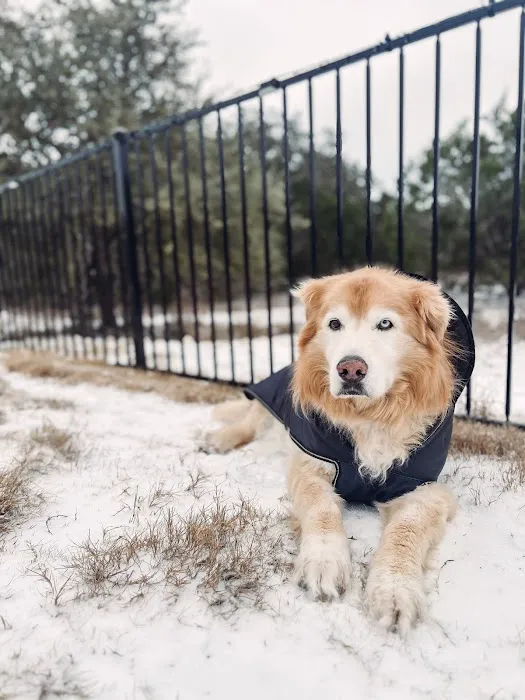 Republic of Texas Veterinary Picture 4