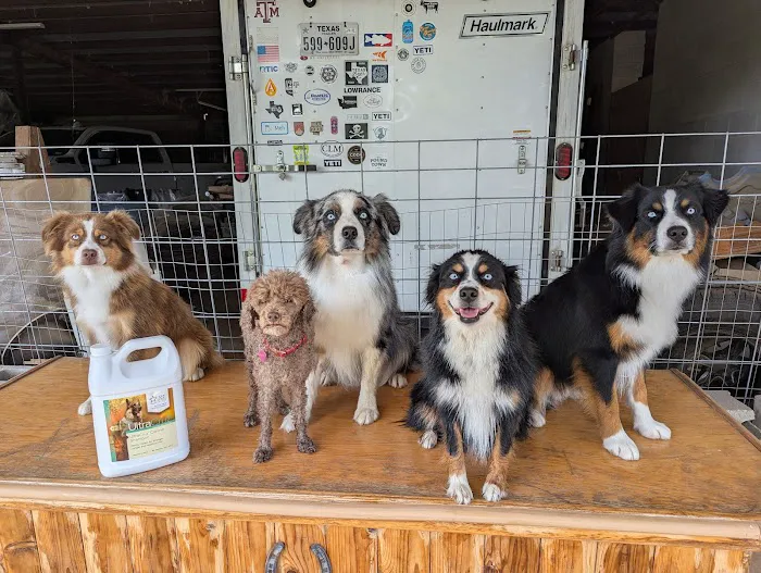 Republic of Texas Veterinary Picture 8