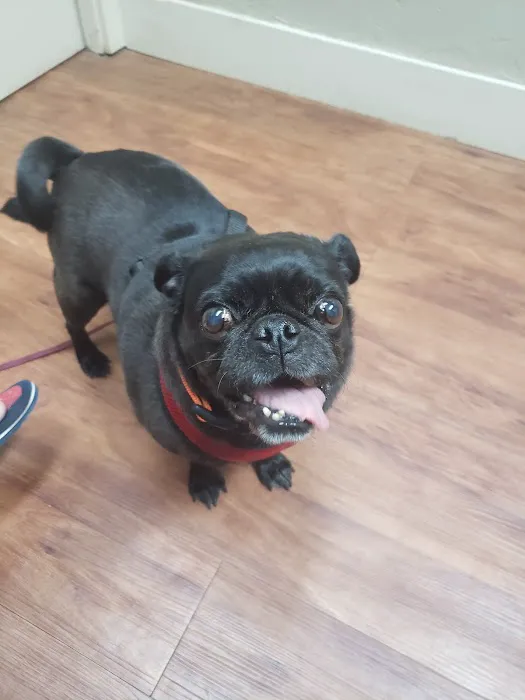 Blanco Veterinary Clinic Picture 2