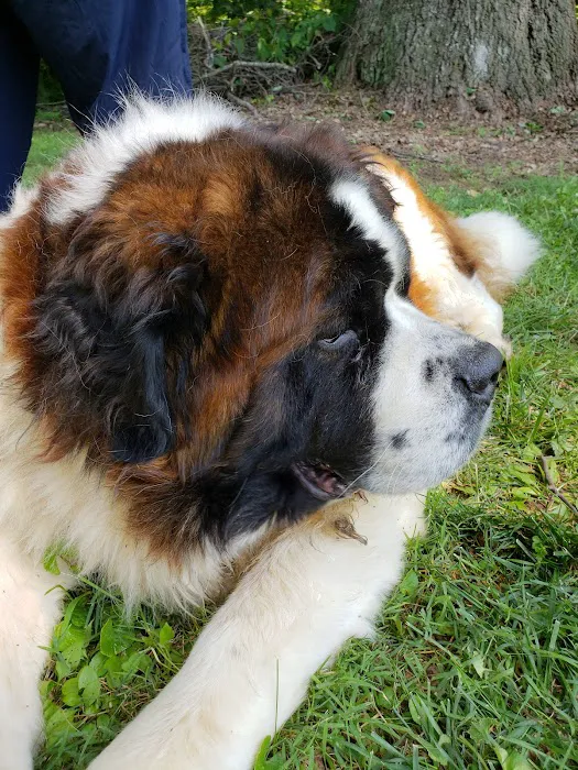 Animal Care Clinic Picture 3