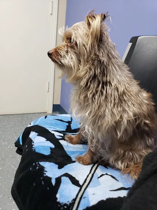 Animal Care Clinic Picture 5