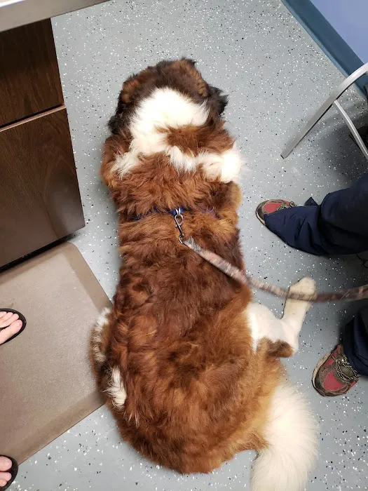 Animal Care Clinic Picture 6