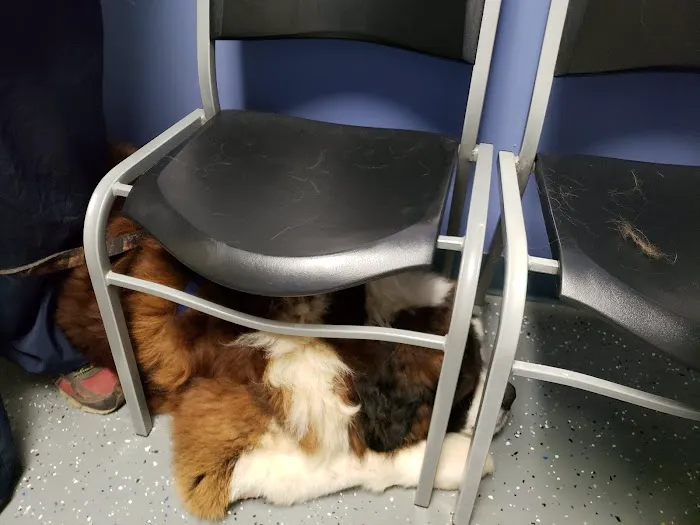 Animal Care Clinic Picture 7