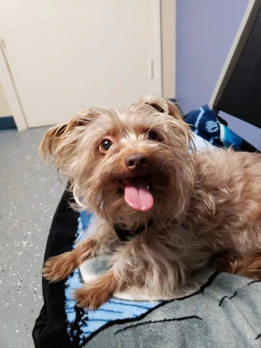 Animal Care Clinic Picture 10