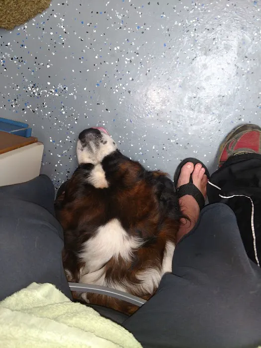 Animal Care Clinic Picture 8