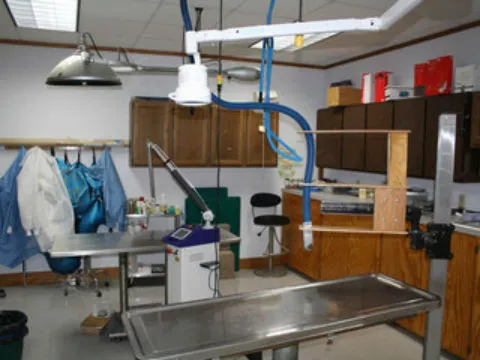 Robinson Hospital for Animals Picture 8
