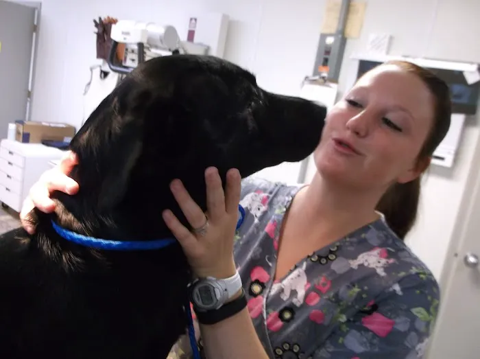 Vincennes Veterinary Clinic Picture 2