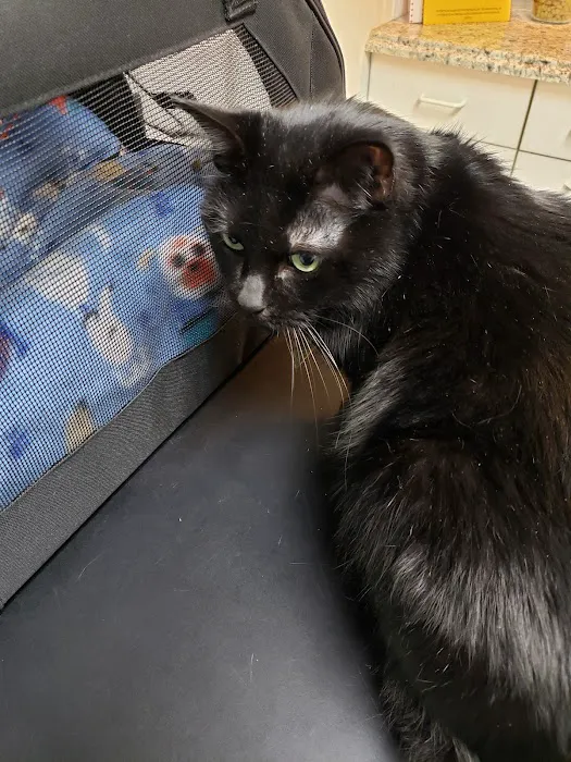 Vincennes Veterinary Clinic Picture 5