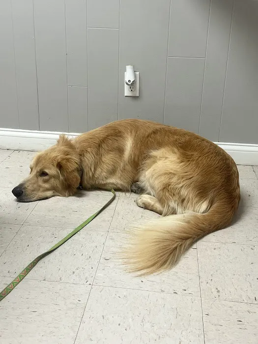 Southgate Veterinary Clinic Picture 1