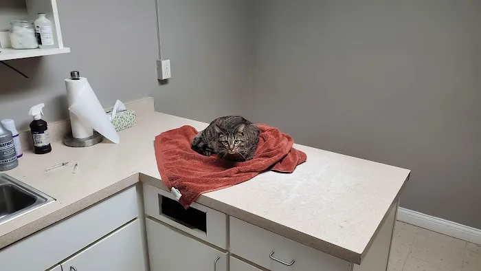 Southgate Veterinary Clinic Picture 9