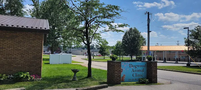 Dogwood Animal Clinic Inc Picture 5